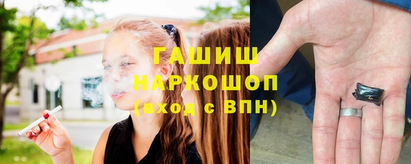 молекула духа Вяземский