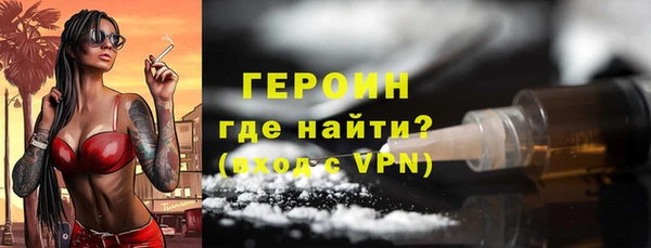молекула духа Вяземский