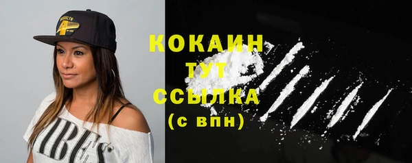молекула духа Вяземский