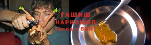 молекула духа Вяземский