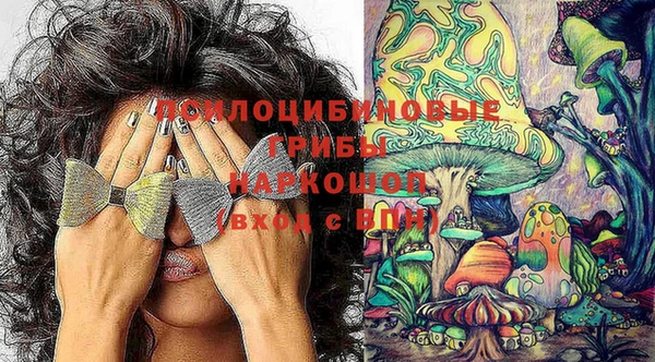молекула духа Вяземский