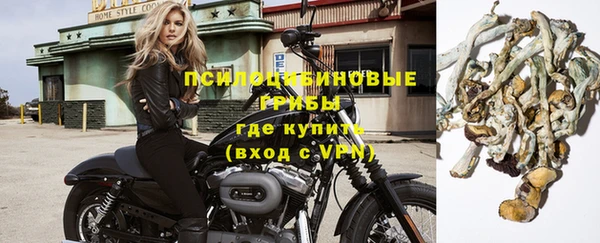молекула духа Вяземский