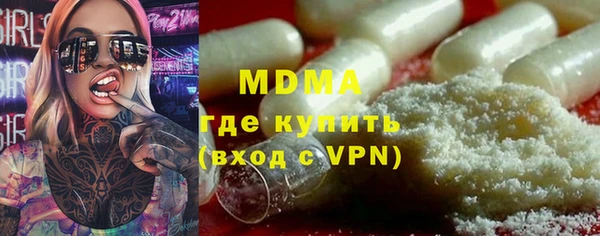 молекула духа Вяземский