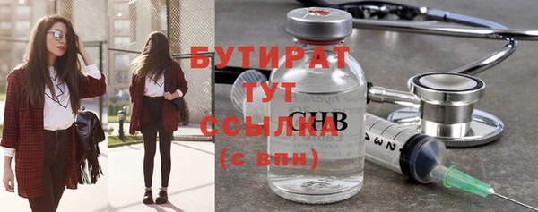 молекула духа Вяземский