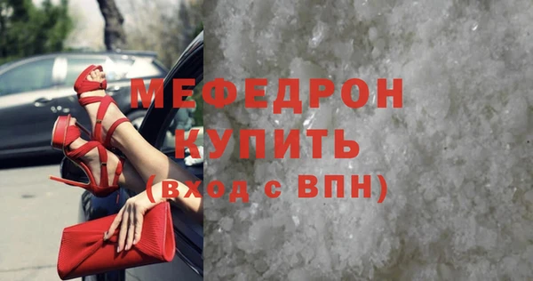 молекула духа Вяземский