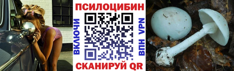 Галлюциногенные грибы Psilocybe  Петухово 