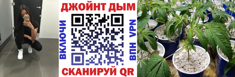 Бошки марихуана марихуана Петухово
